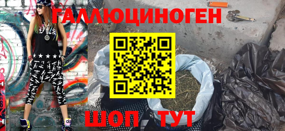 Полысаево  Псилоцибиновые грибы прущие грибы  Вход с VPN 